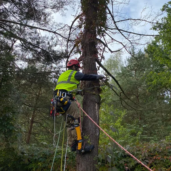 Realizacja Zaradni w Ogrodzie nr 2