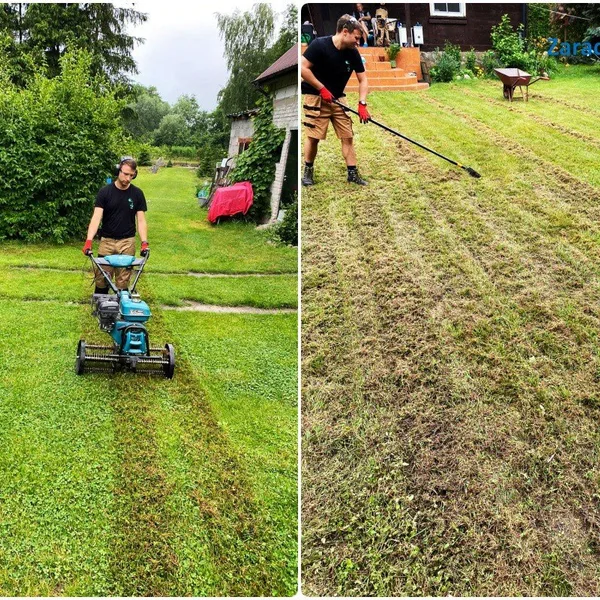 Realizacja Zaradni w Ogrodzie nr 6