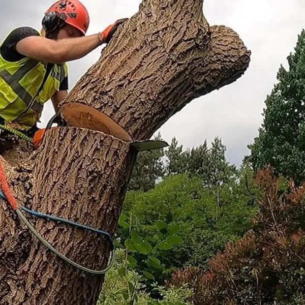 Realizacja Zaradni w Ogrodzie nr 7